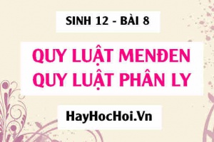 Quy luật Menđen: Phương pháp nghiên cứu di truyền học của Menđen, Cơ sở tế bào học của quy luật phân li - Sinh 12 bài 8